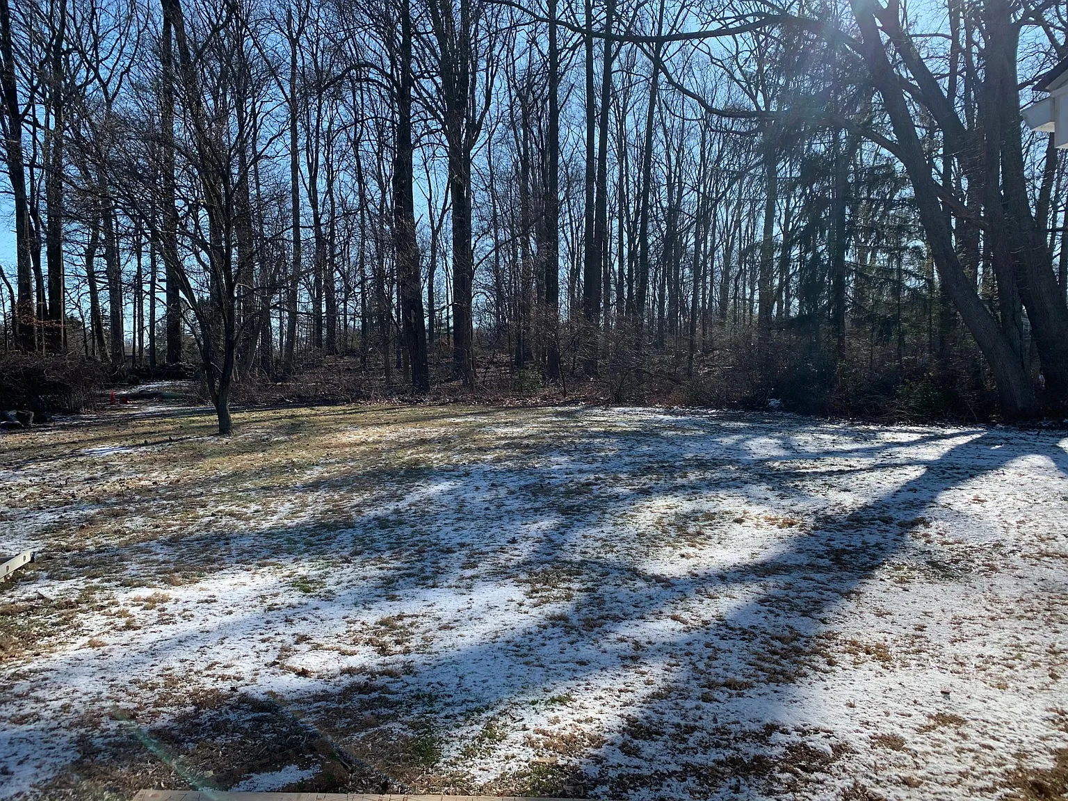 3 bed, 1164 sqft, $3,000 — Photo 2
