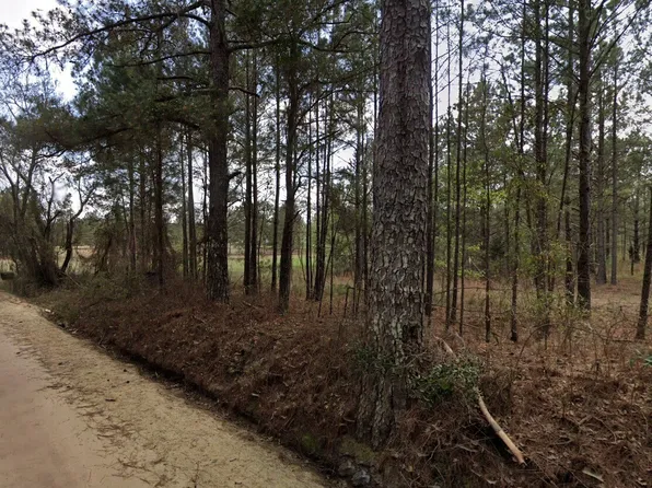 0 Nobles Rd, Chester, GA 31012