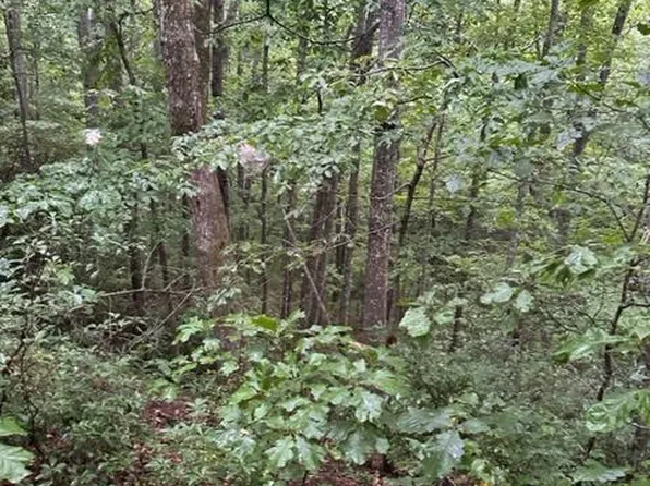 Old Baker Ln, Crawford, TN 38554