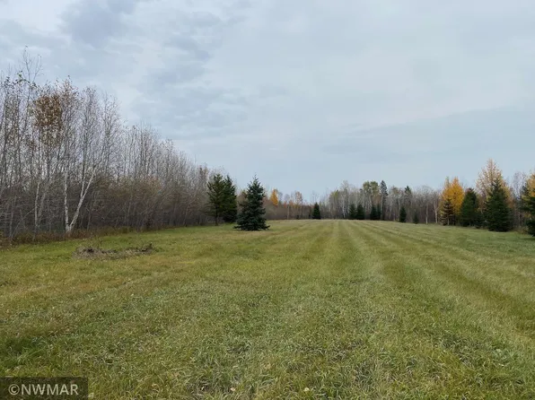 16285 Shotley Rd NE, Kelliher, MN 56650