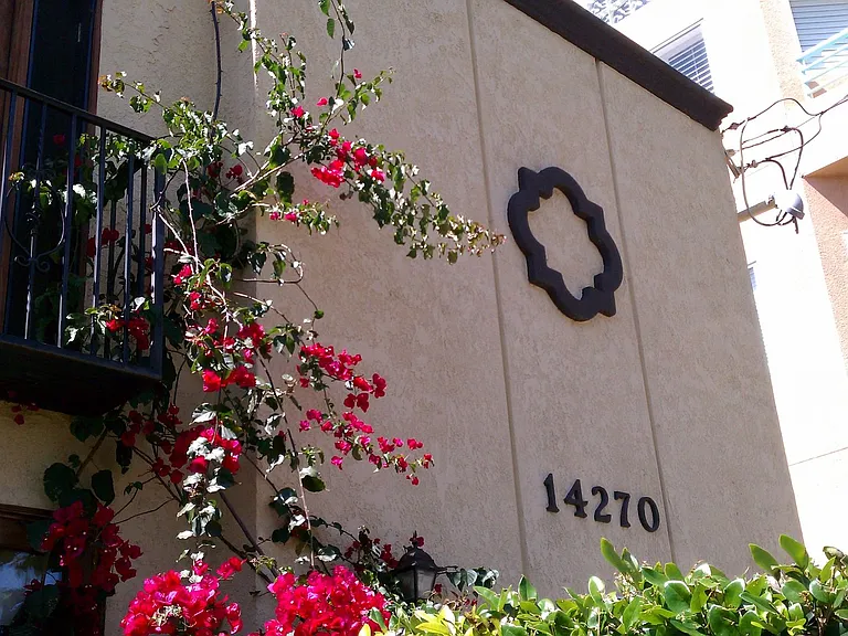 Dickens — Photo 18