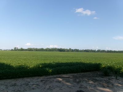 (Undisclosed Address), Manila, AR, 72442