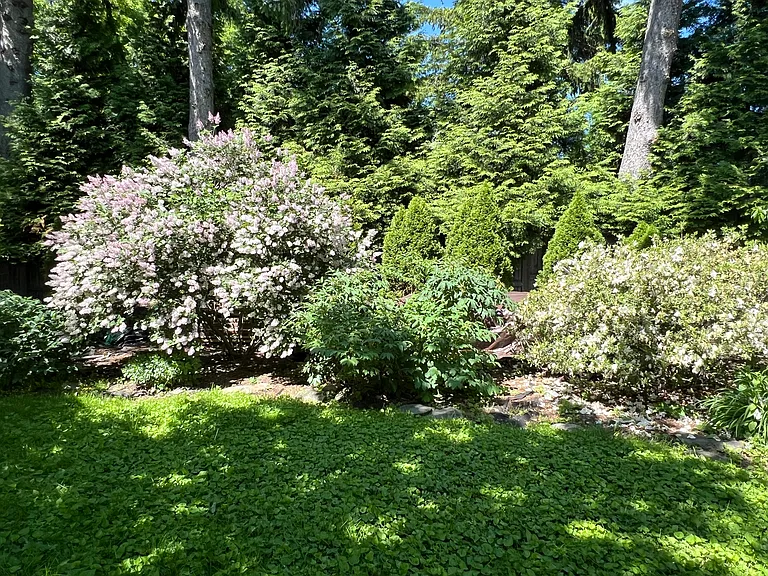 36 Greenough Ave #3 — Photo 54