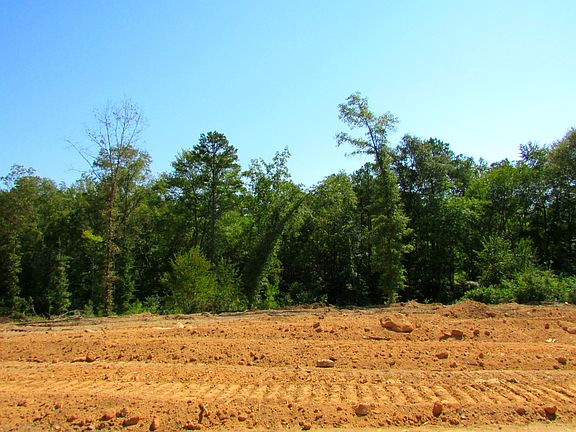 3rd image of 308 Cooper Oaks Ct Lot 16