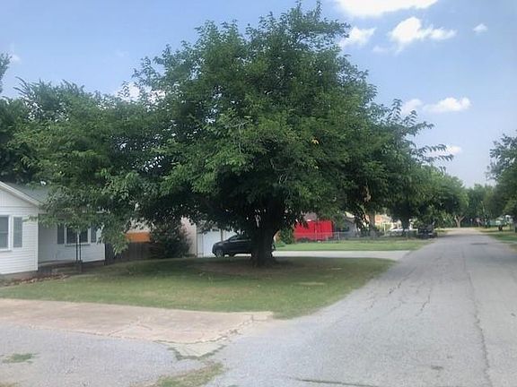 Front yard shade tree