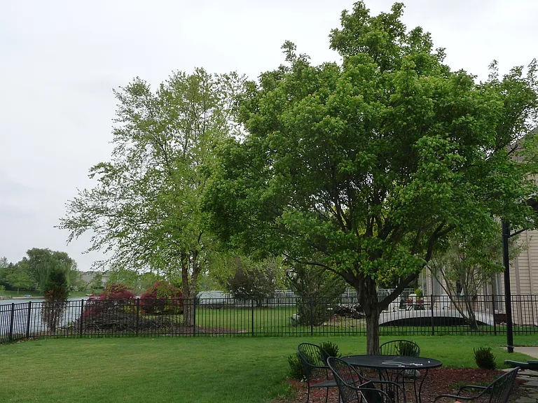 2704 Cherry Hills Dr — Photo 44