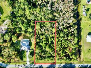 Starry St LOT 29, Orlando, FL 32833