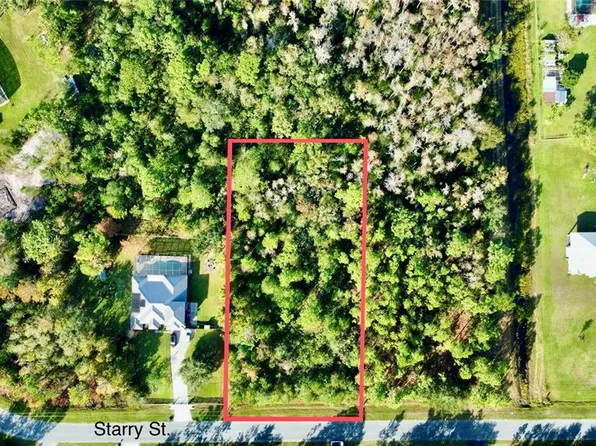 Starry St Lot 29, Orlando, FL 32833