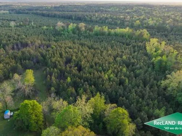 0 Rodney Martin Rd, Shongaloo, LA 71072