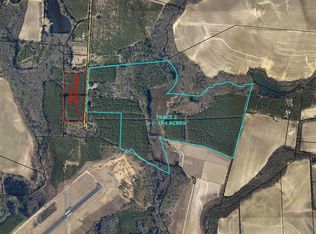 973 T H Lee Rd Tract #1, Statesboro, GA 30461