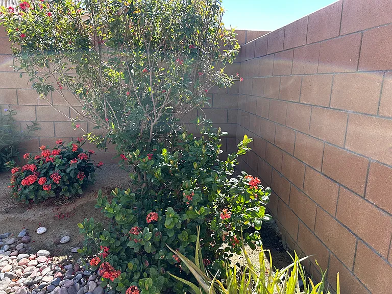 40082 Catania Ct — Photo 18