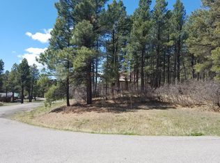 300 Inspiration Dr, Pagosa Springs, CO 81147