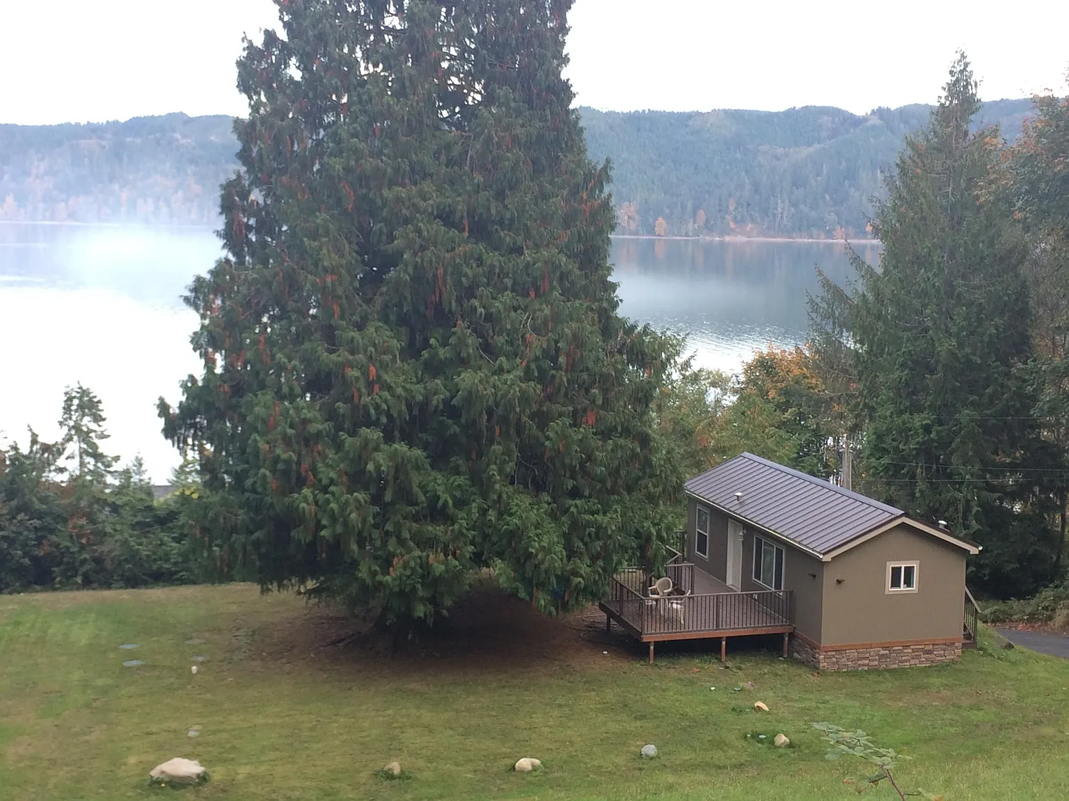 1 bed, 450 sqft, $1,450 — Photo 4