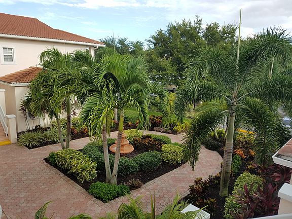 Courtyard at tree top level