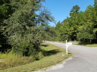 0 Watershed Ct, Walterboro, SC 29488