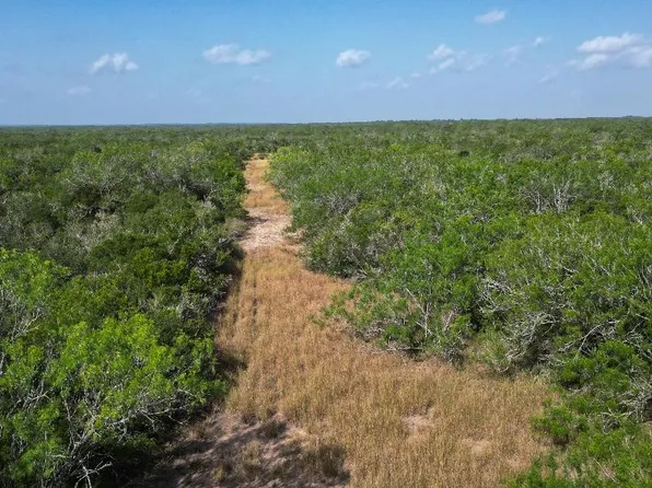 Fm 624, George West, TX 78022