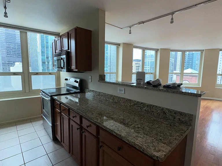 345 N La Salle Dr #2006 — Photo 26