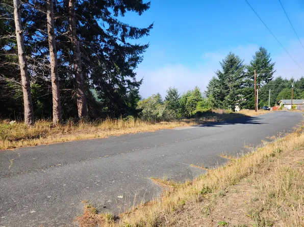141 Spring Rd, Whitethorn, CA 95589