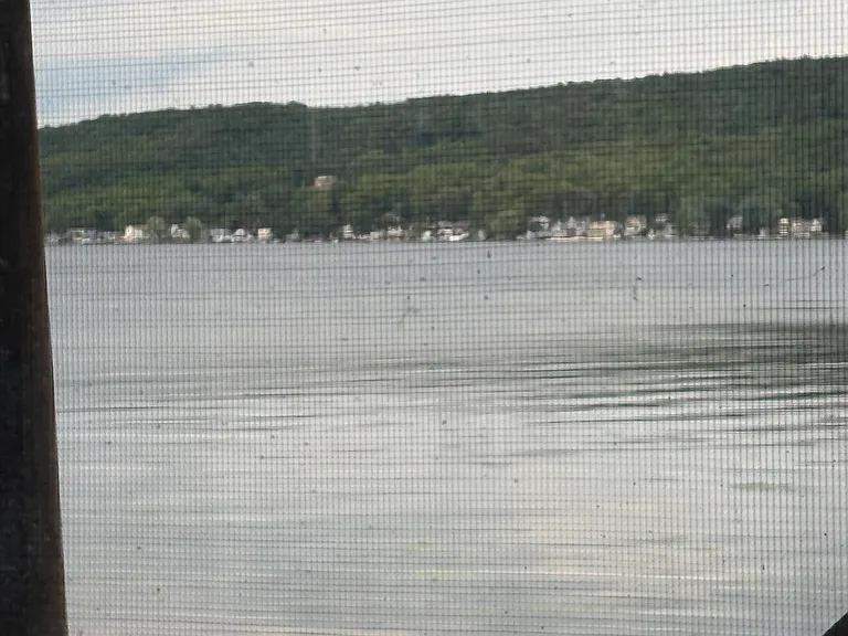 W Lake Rd — Photo 12