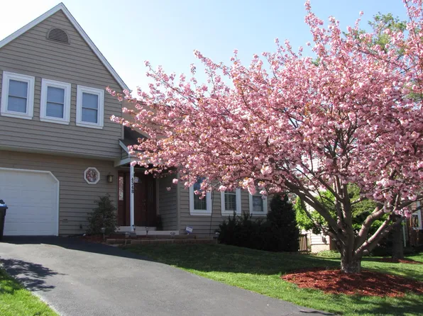 4348 Silas Hutchinson Dr, Chantilly, VA 20151