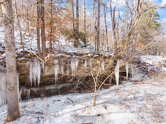 3rd image of 165 Pomeroyton Wellington Rd