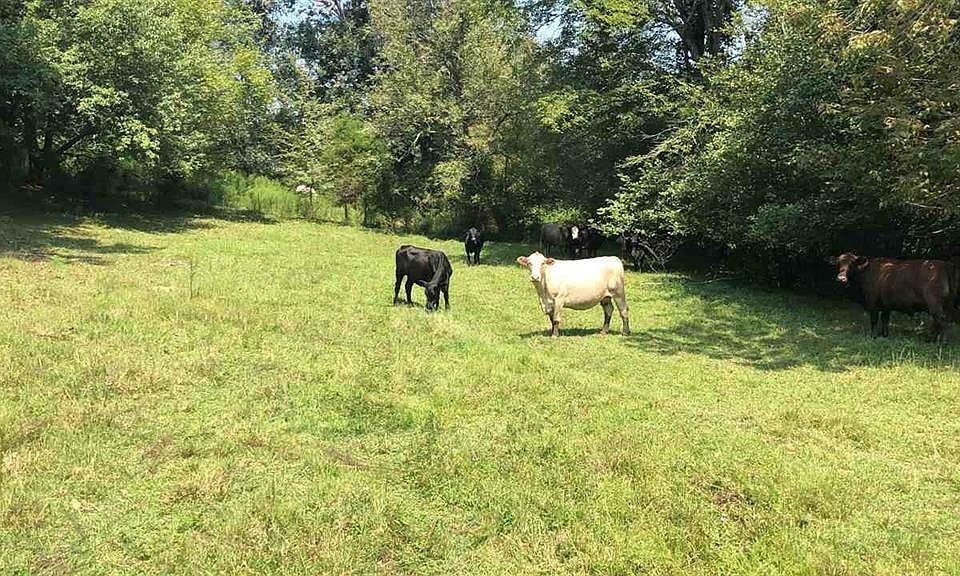 5120 Brison Rd, Collinwood, TN 38450 Zillow