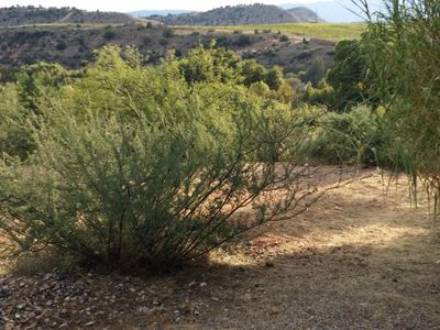10795 Drake Cir, Cornville, AZ, 86325