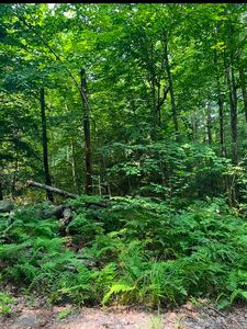 0 Laurel Lake Rd, Royalston, MA, 01368