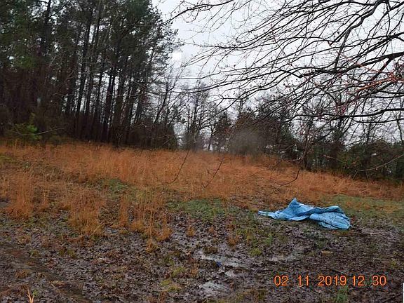 4th image of 65 Wildcat Ln