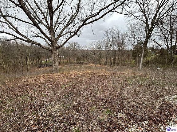 5th image of 185 Rhodelia Rd