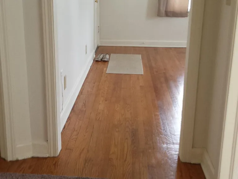 Lake Bradford Ln — Photo 6