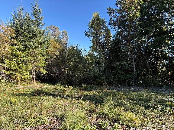 4th image of 0 Chelsamish Drive
