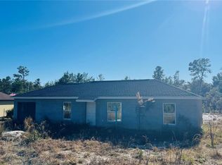 6 Bay Track Ct, Ocklawaha, FL 32179