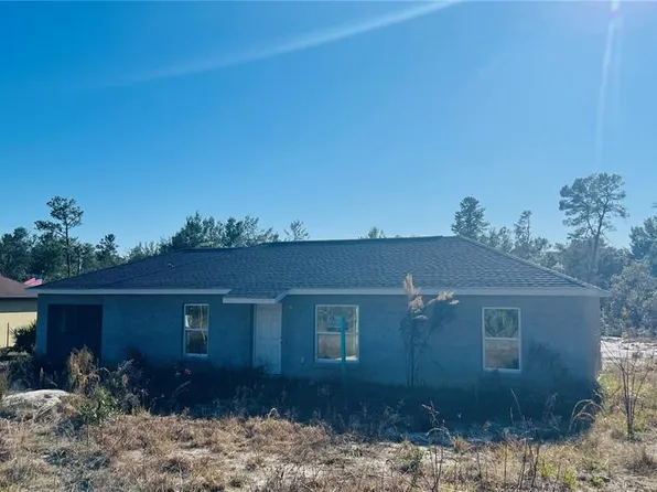 6 Bay Track Ct, Ocklawaha, FL 32179