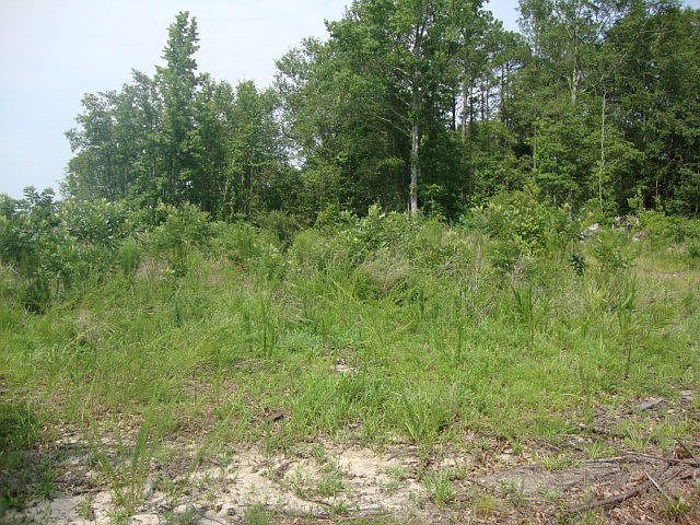 1st image of 0 Shakemia Rd