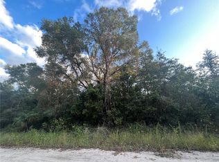NE 461st Ave LOT 1, Old Town, FL 32680