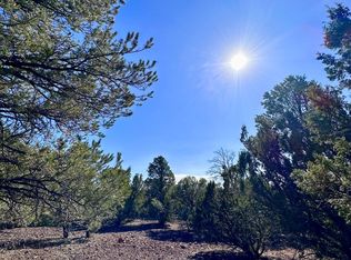 County Road N3029 #11, Vernon, AZ 85940