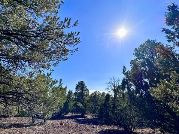 TBD County Rd N3029 -- #11, Vernon, AZ 85940