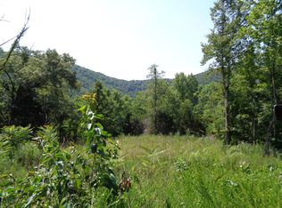 Tbd Vardy Blackwater Rd, Sneedville, TN 37869