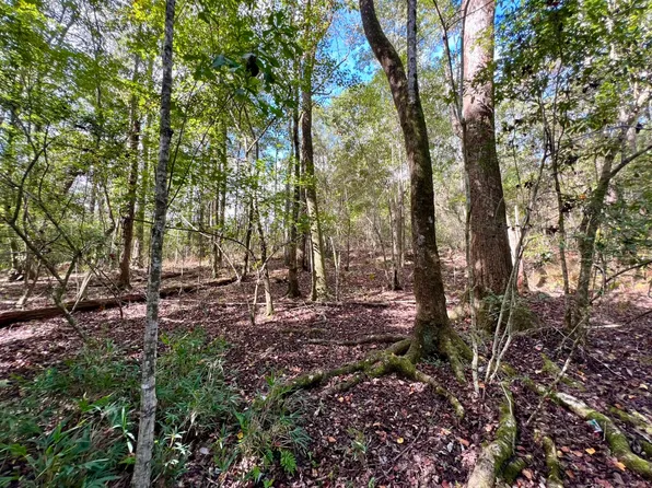 0 Laco Cooper Rd, Wilmer, AL 36587