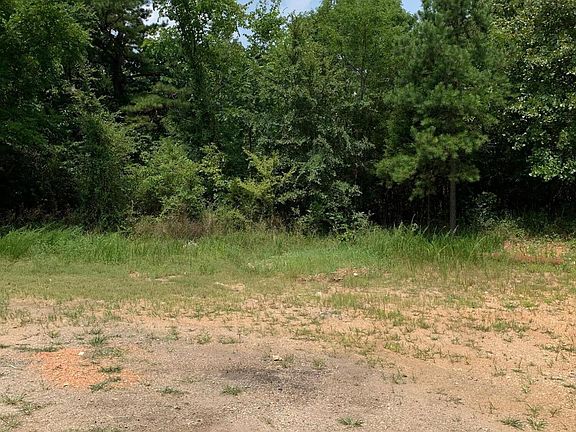 2nd image of County Road 501