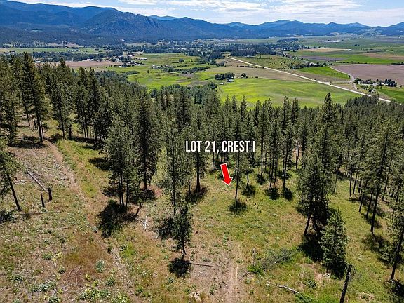 5th image of 1612 Palmer Loop