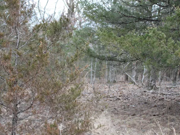 Toriyama Cir, Edwards, MO 65326