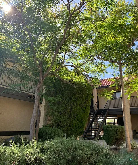 539 E Ridgecrest Blvd #F — Photo 20