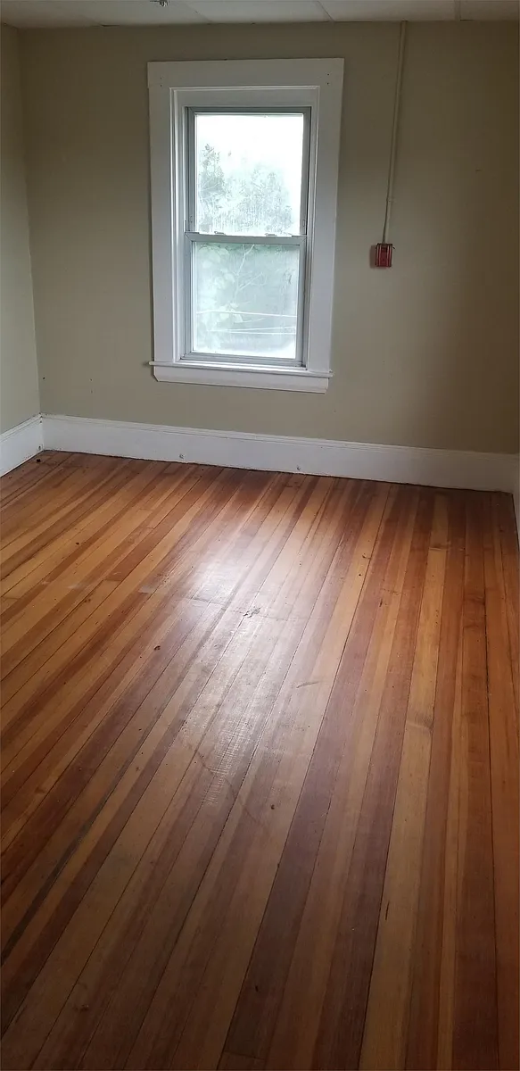 Solid Hardwood Floors - 107 Ames St #1