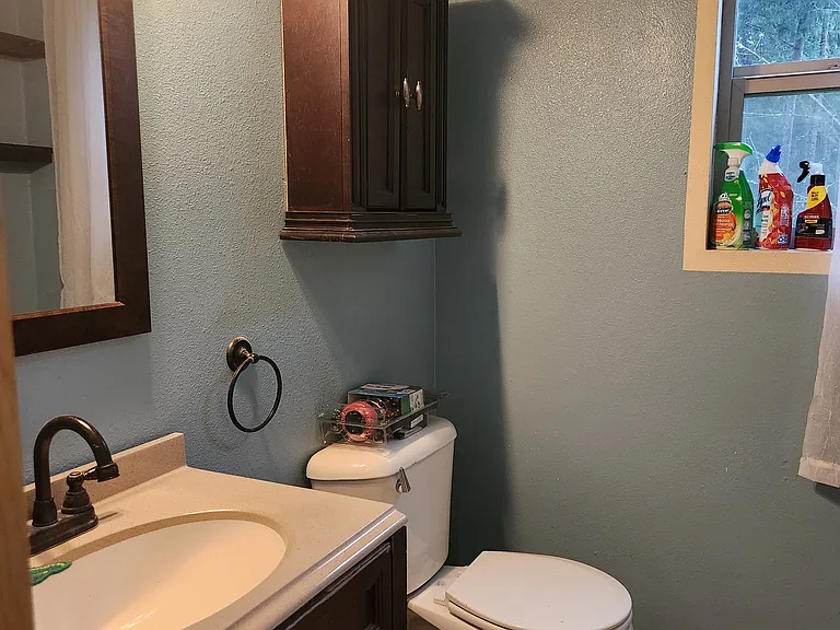 Downstairs Powder Room