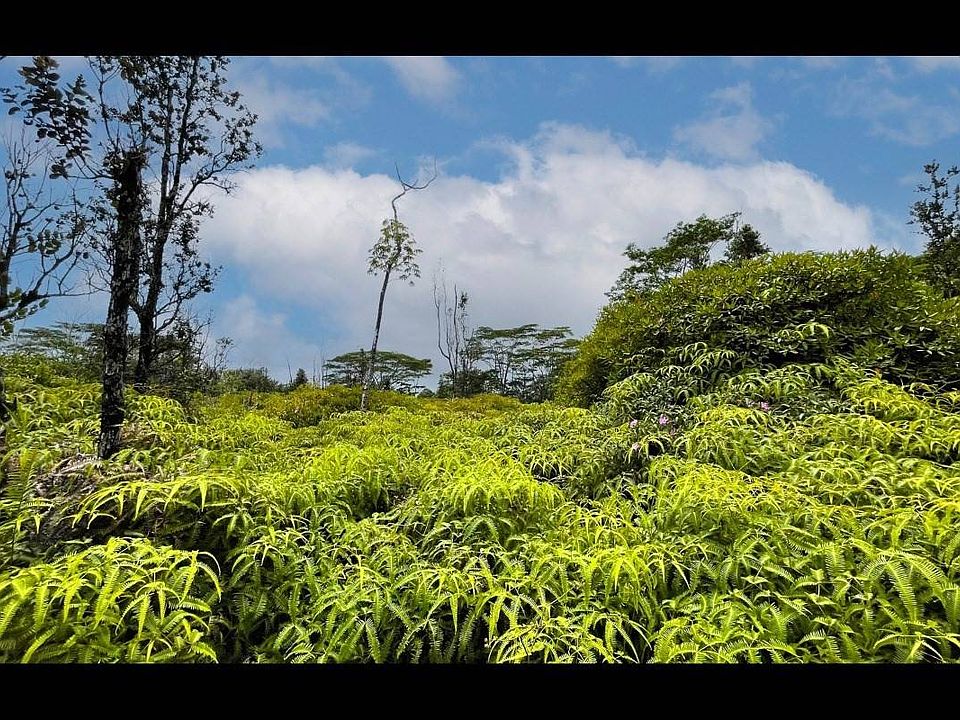 1st image of 5th Avenue Ekaha Lot 2375