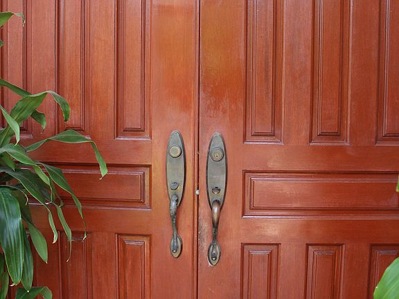 Double Front Entry door-wood