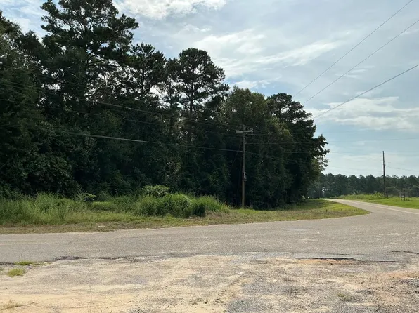 37000 Straughn School Rd, Dozier, AL 36028
