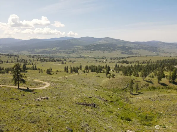 0 XX E Cayuse Mountain Road, Tonasket, WA 98855